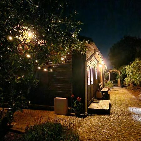 Chalet Villa Mosquito سيلفيس المظهر الخارجي الصورة