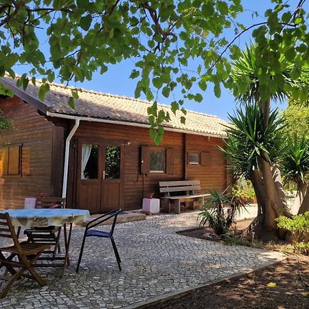 Chalet Villa Mosquito سيلفيس المظهر الخارجي الصورة