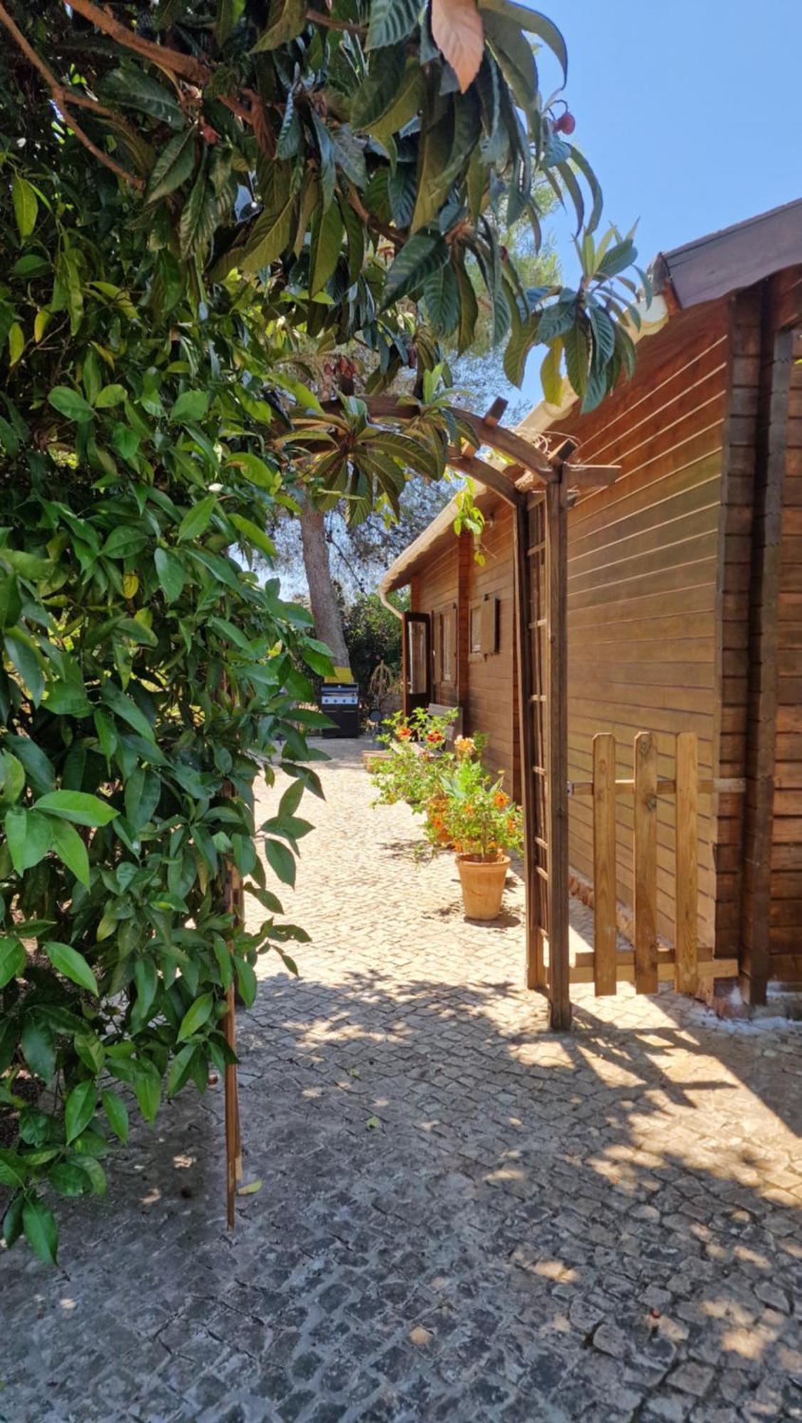 Chalet Villa Mosquito سيلفيس المظهر الخارجي الصورة