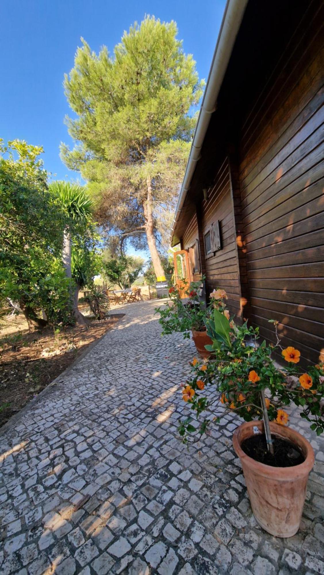 Chalet Villa Mosquito سيلفيس المظهر الخارجي الصورة