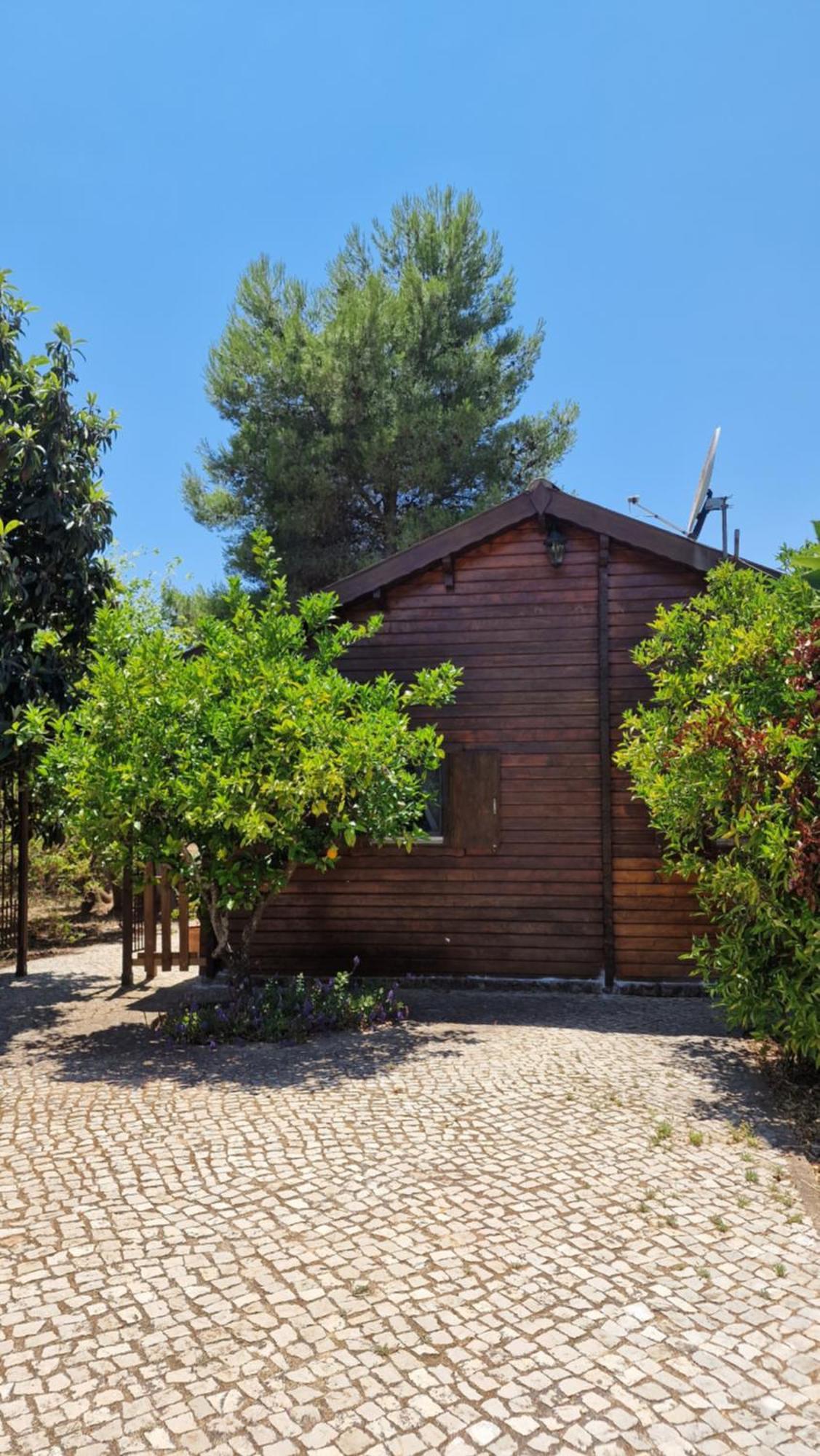 Chalet Villa Mosquito سيلفيس المظهر الخارجي الصورة