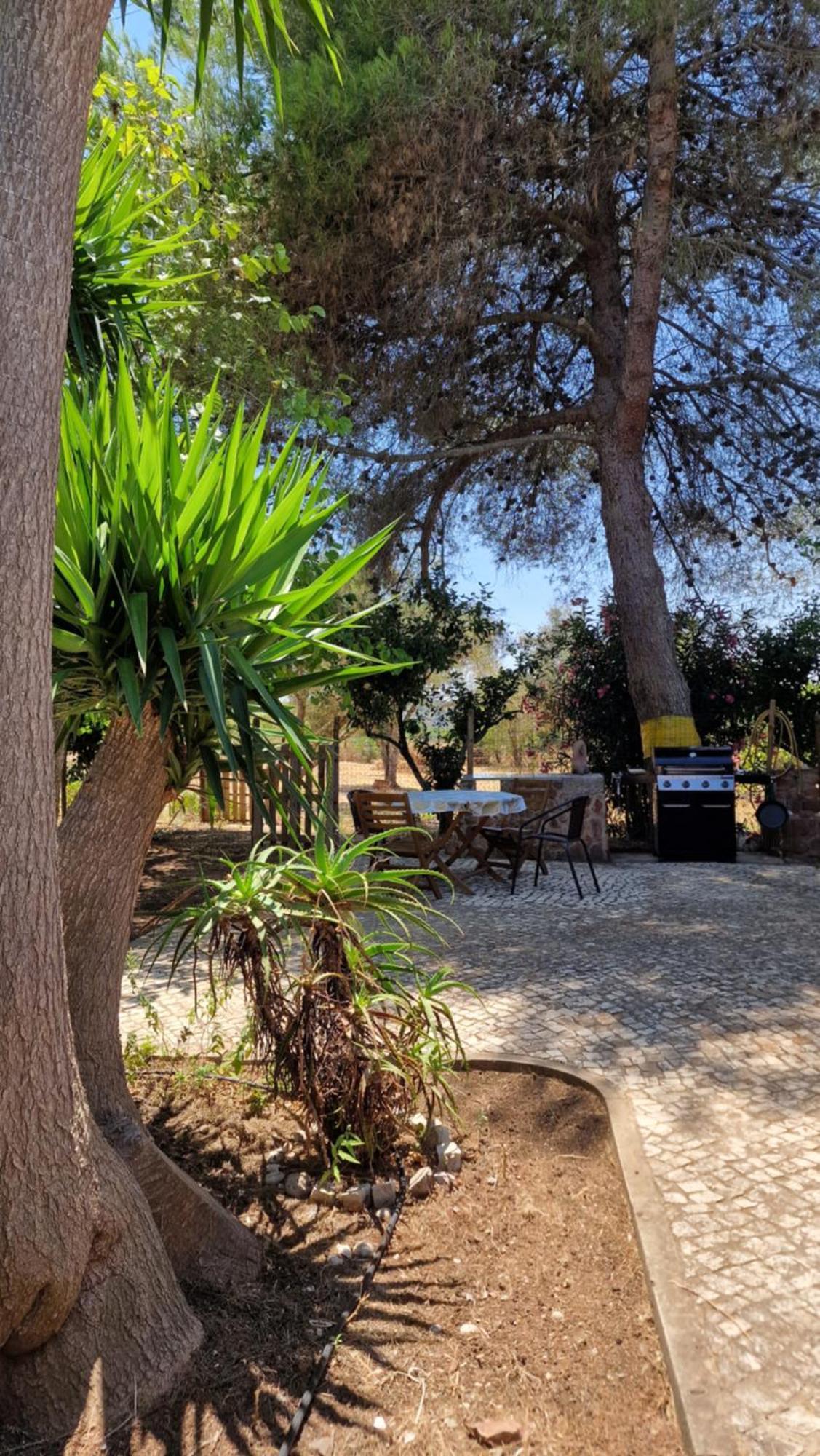 Chalet Villa Mosquito سيلفيس المظهر الخارجي الصورة