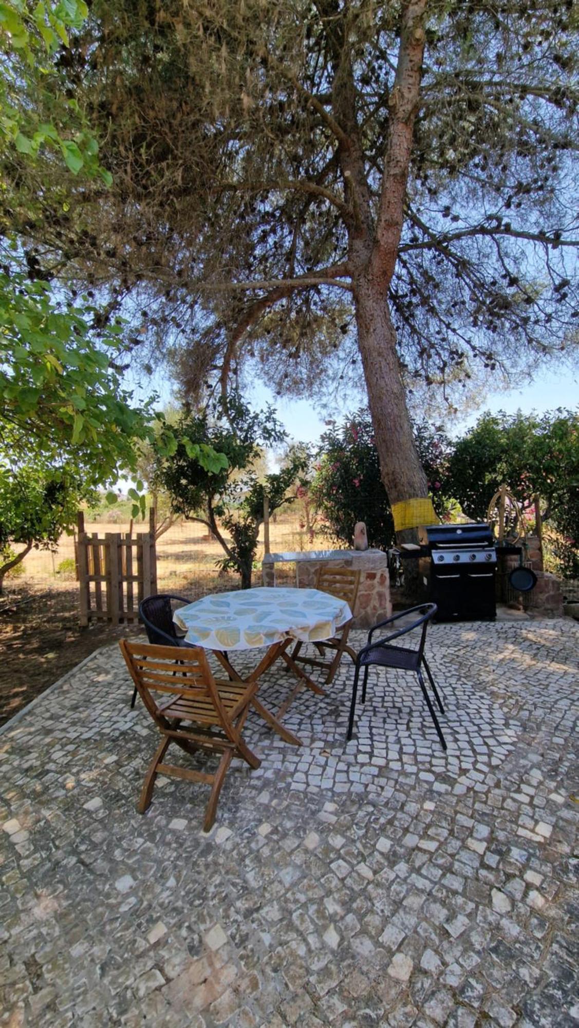 Chalet Villa Mosquito سيلفيس المظهر الخارجي الصورة