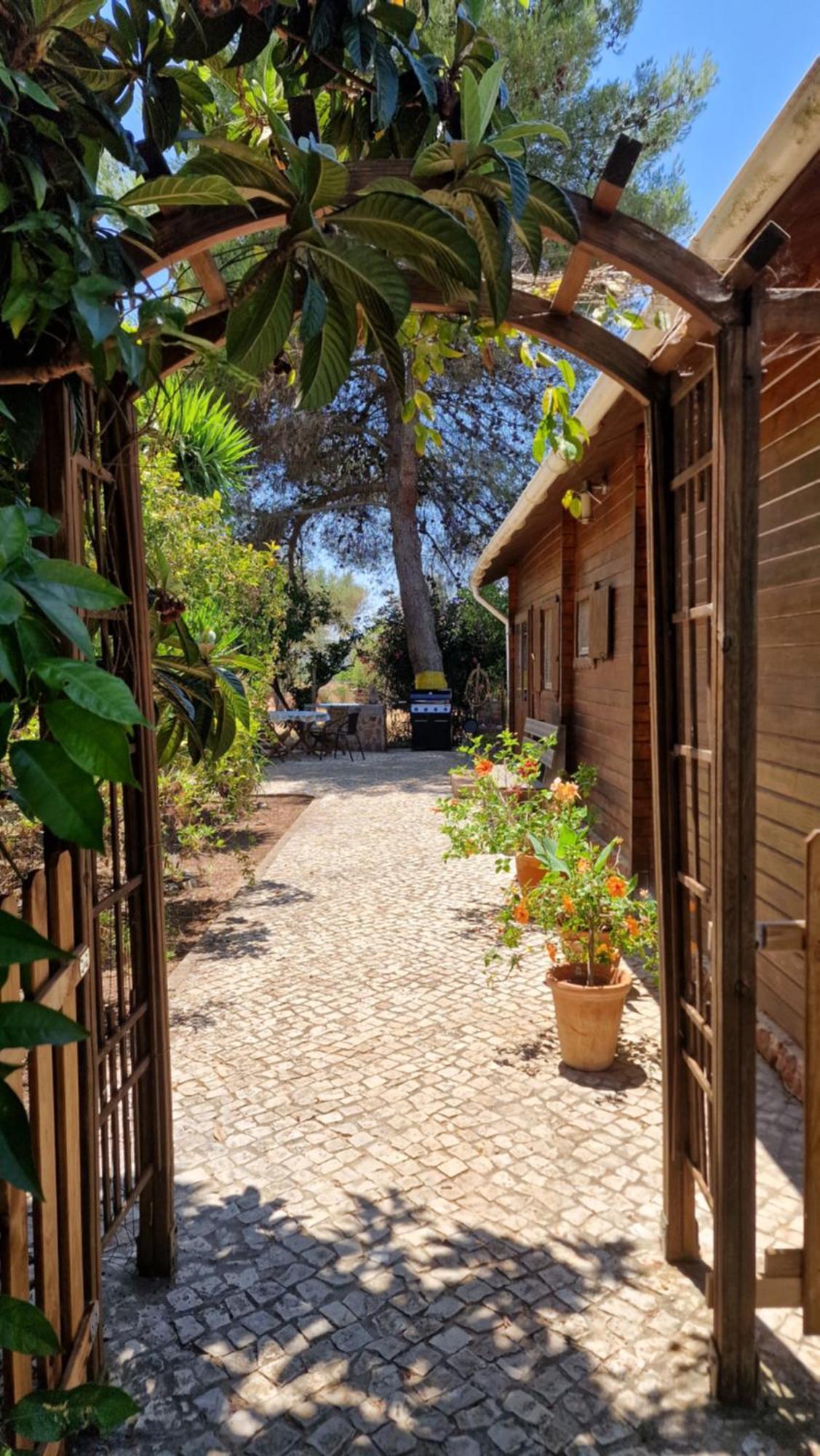 Chalet Villa Mosquito سيلفيس المظهر الخارجي الصورة