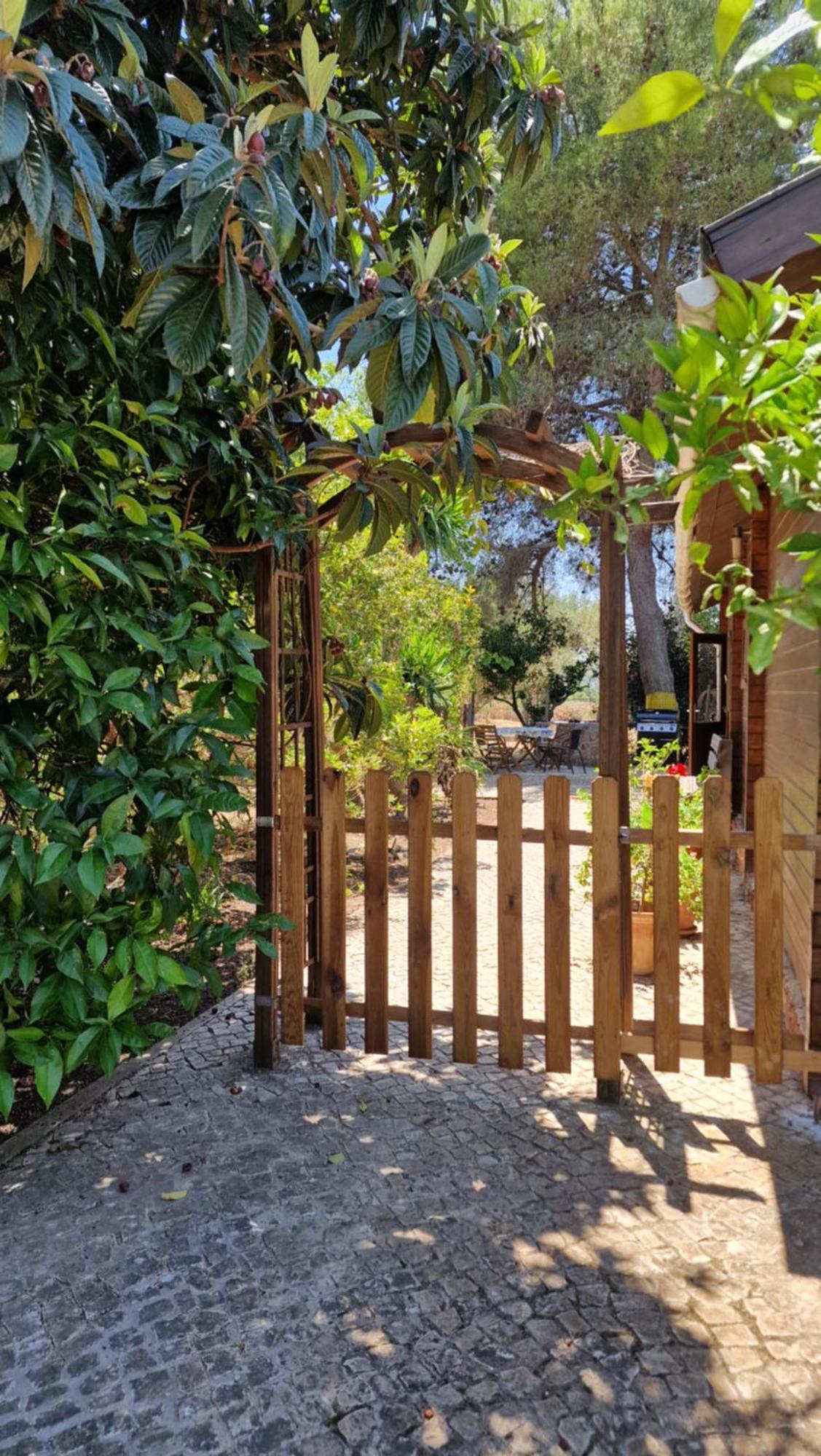 Chalet Villa Mosquito سيلفيس المظهر الخارجي الصورة
